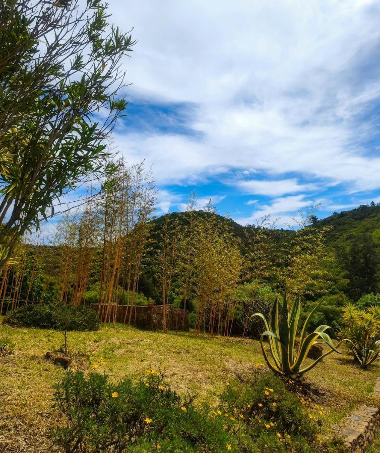 Monte Da Conqueira Villa Odemira Ngoại thất bức ảnh